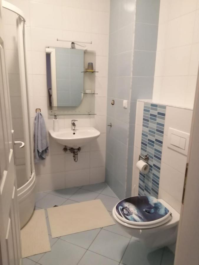Dora Apartment Крапинске Топлице Екстериор снимка